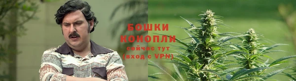 эйфоретик Лихославль