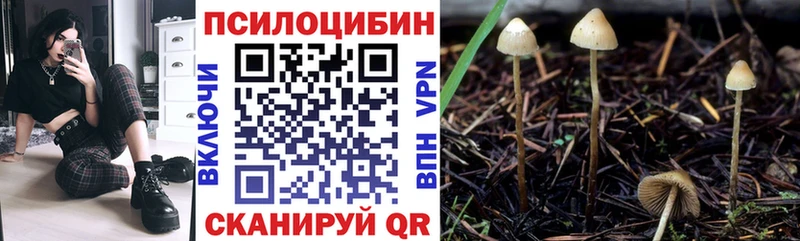 Галлюциногенные грибы MAGIC MUSHROOMS  Купить закладки  Славгород 